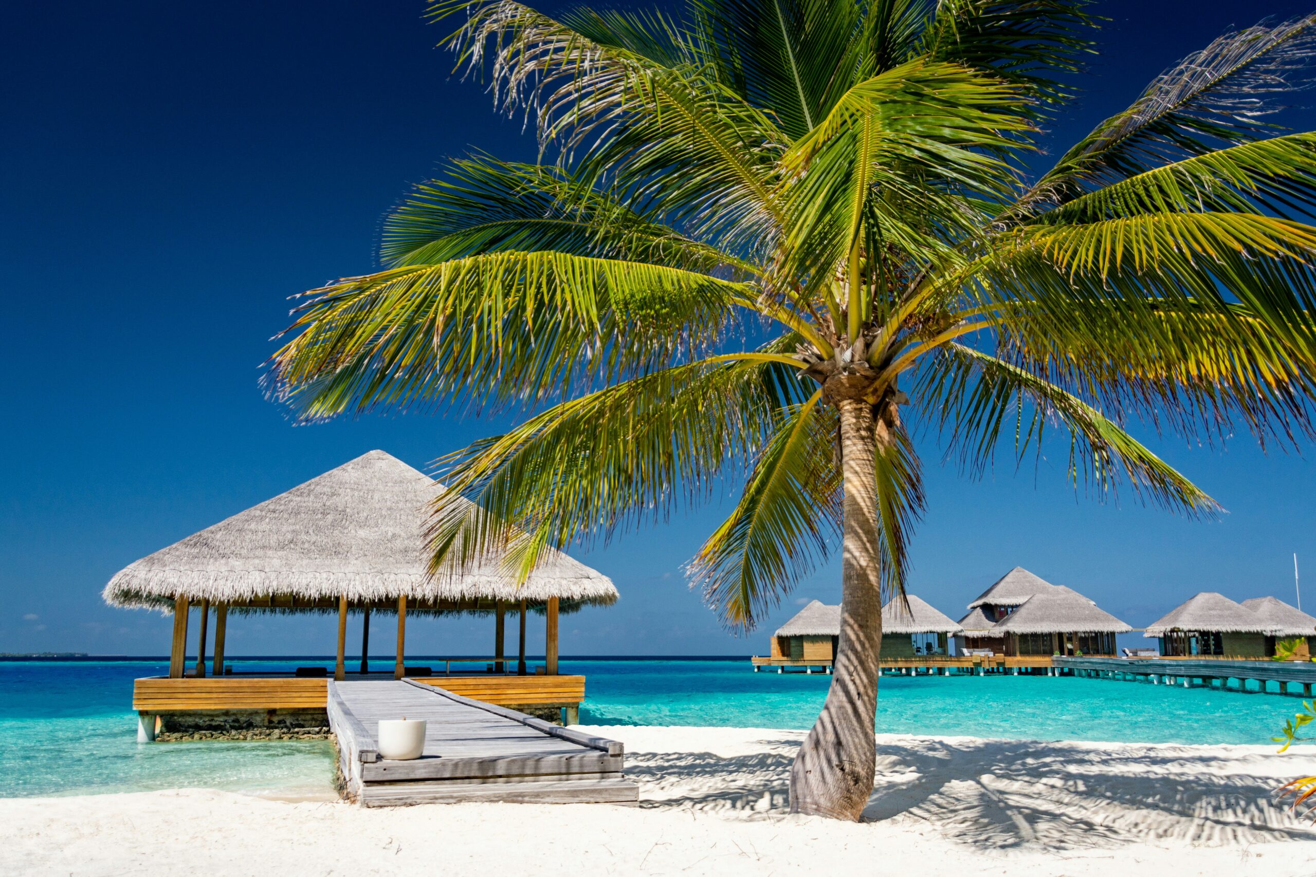 Maldivi ponude 2024