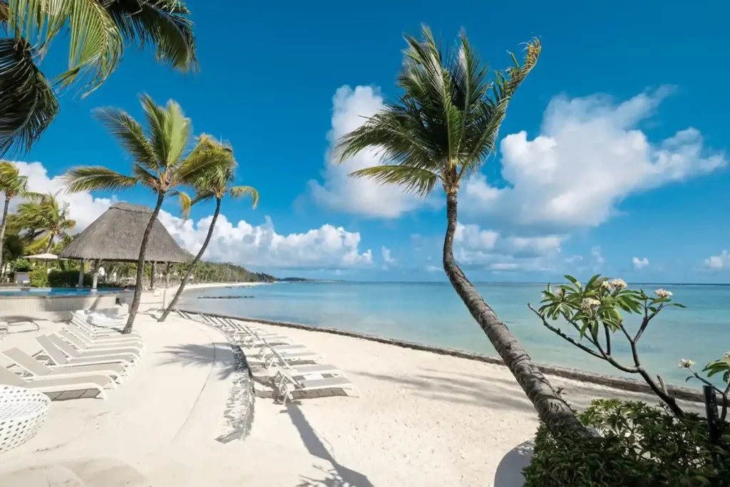 Ambre Mauritius Ambre Mauritius