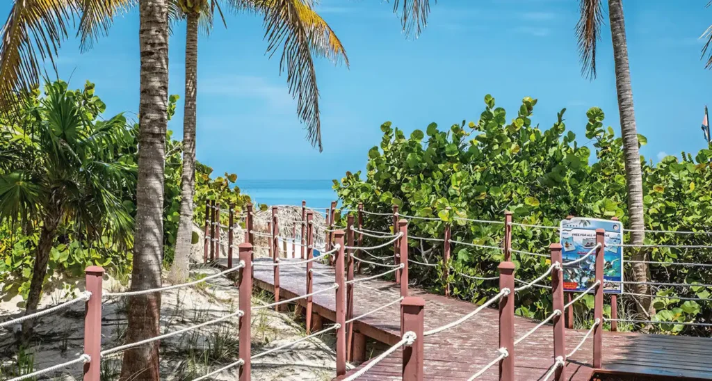 Los Cactus8 Los Cactus