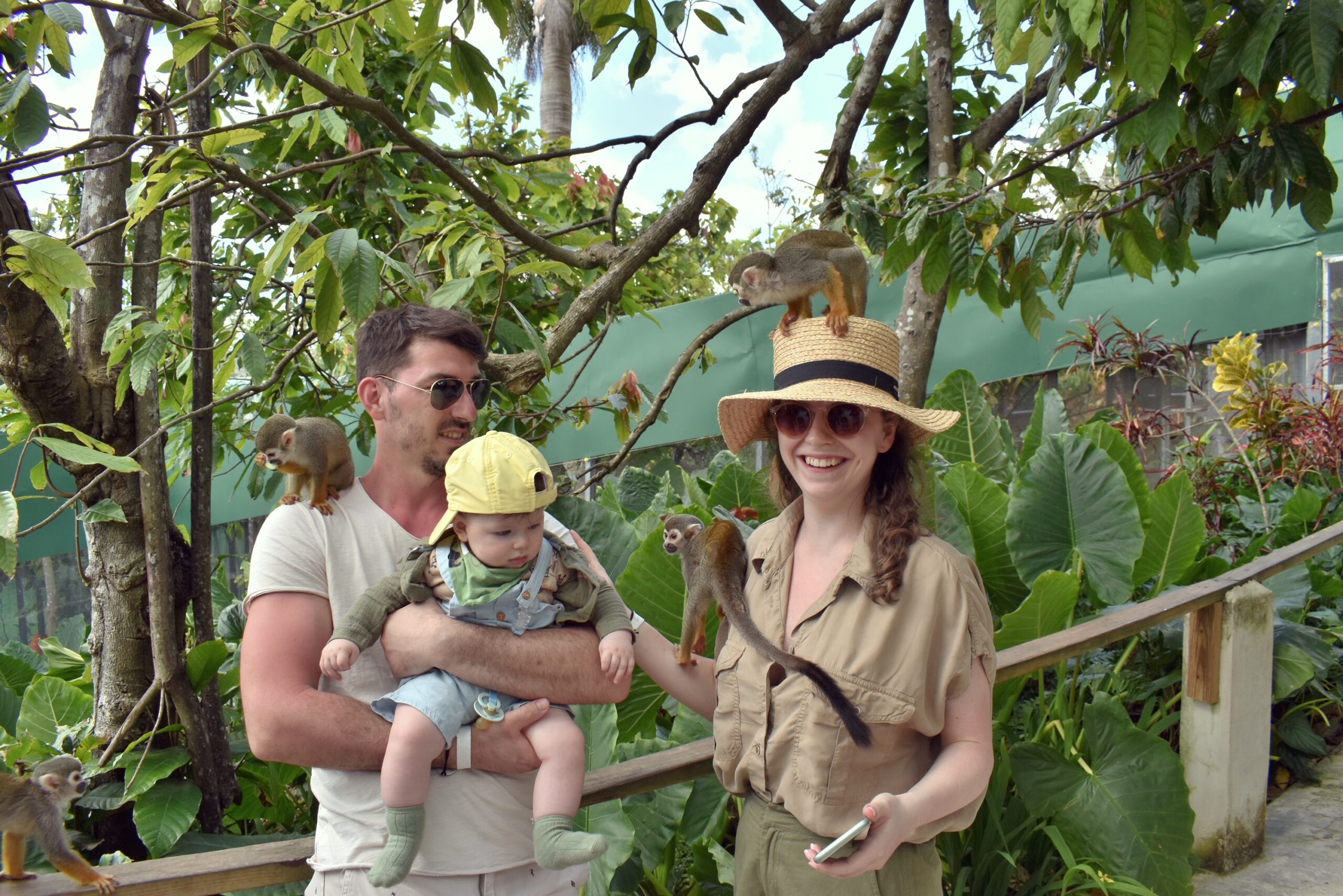 Iskustvo Barcelo Bavaro Palace Iskustvo Barcelo Bavaro Palace