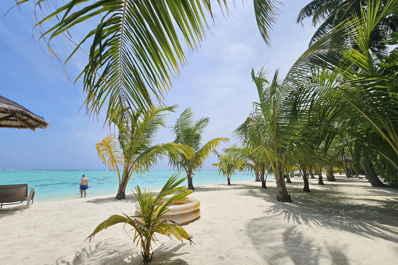 Iskustva RIU Palace Iskustva RIU Palace