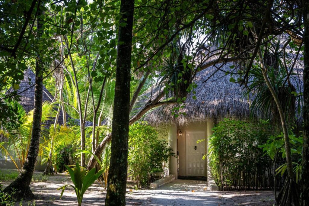 Nika Island Resort & Spa6 Nika Island Resort & Spa