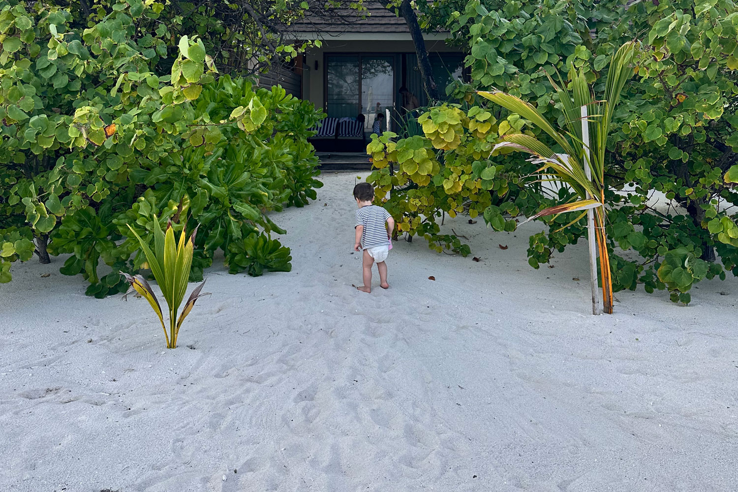 Iskustvo Brennia Kottefaru 5* Maldivi
