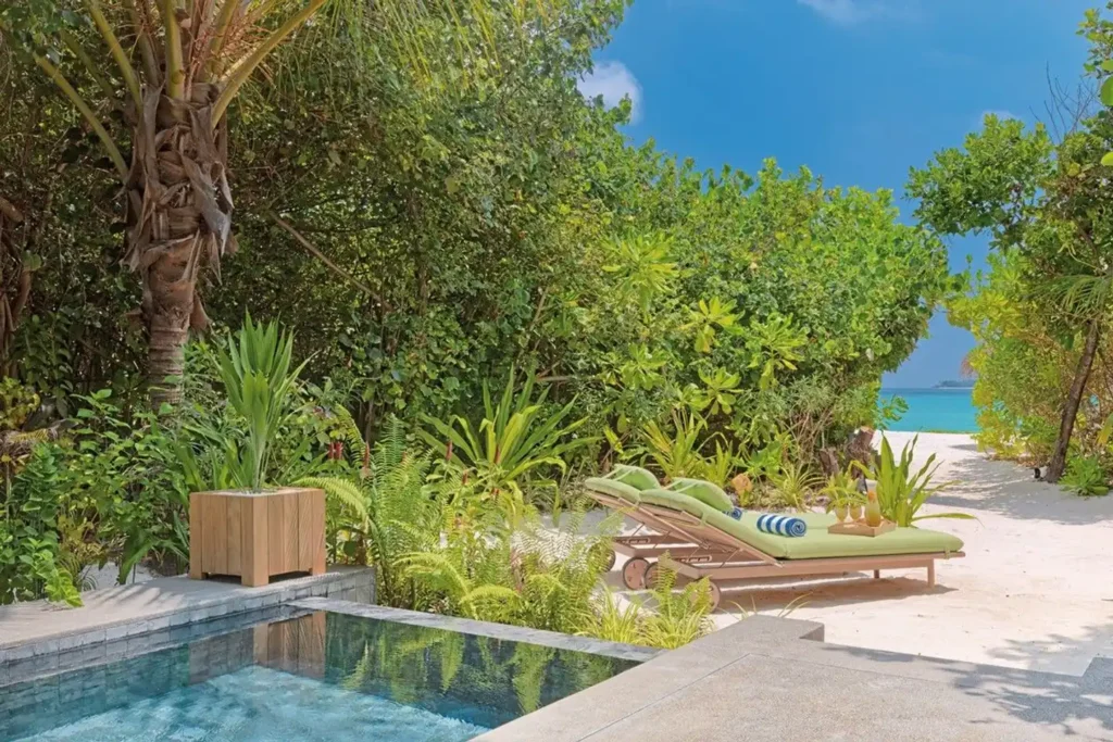 RAAYA by Atmosphere6 RAAYA by Atmosphere