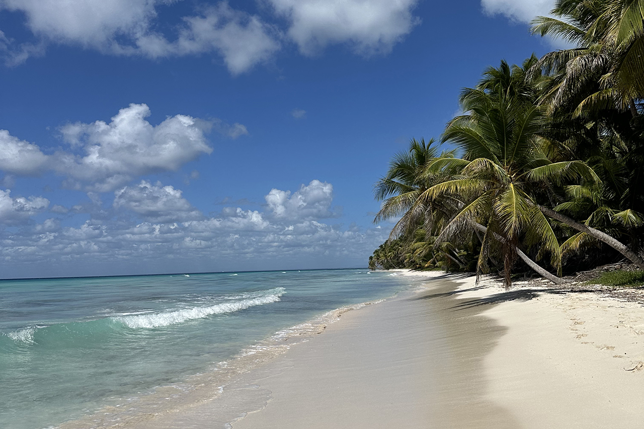Iskustvo Barcelo Bavaro Palace 5* i Hilton La Romana 5*
